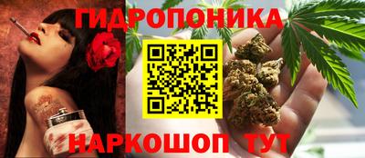 СК Вязники