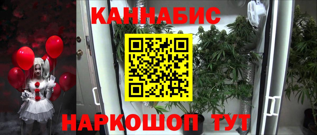 Бошки Шишки гибрид Артём